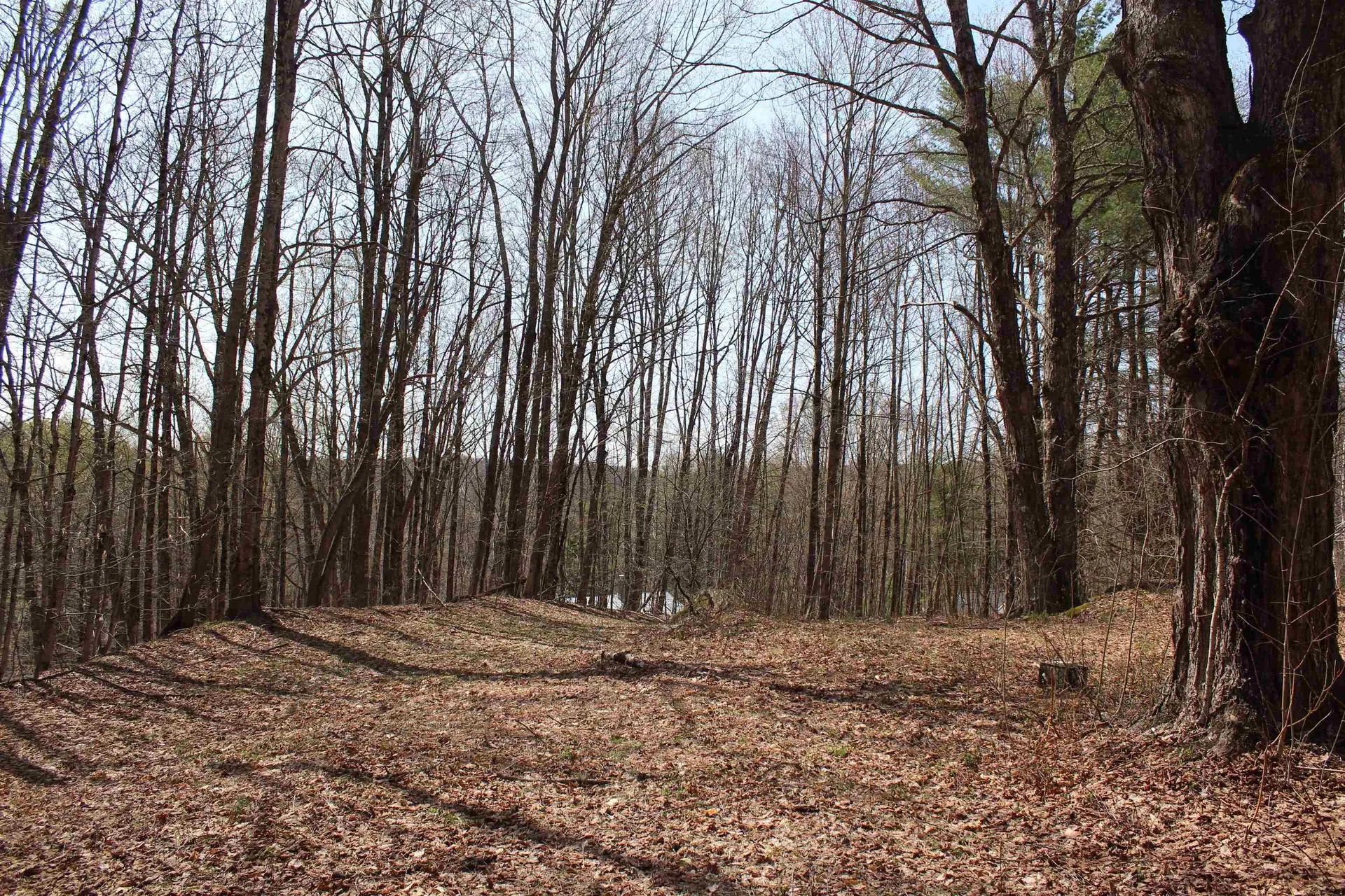 1092 Sessions Meadow Pomfret VT 05067
