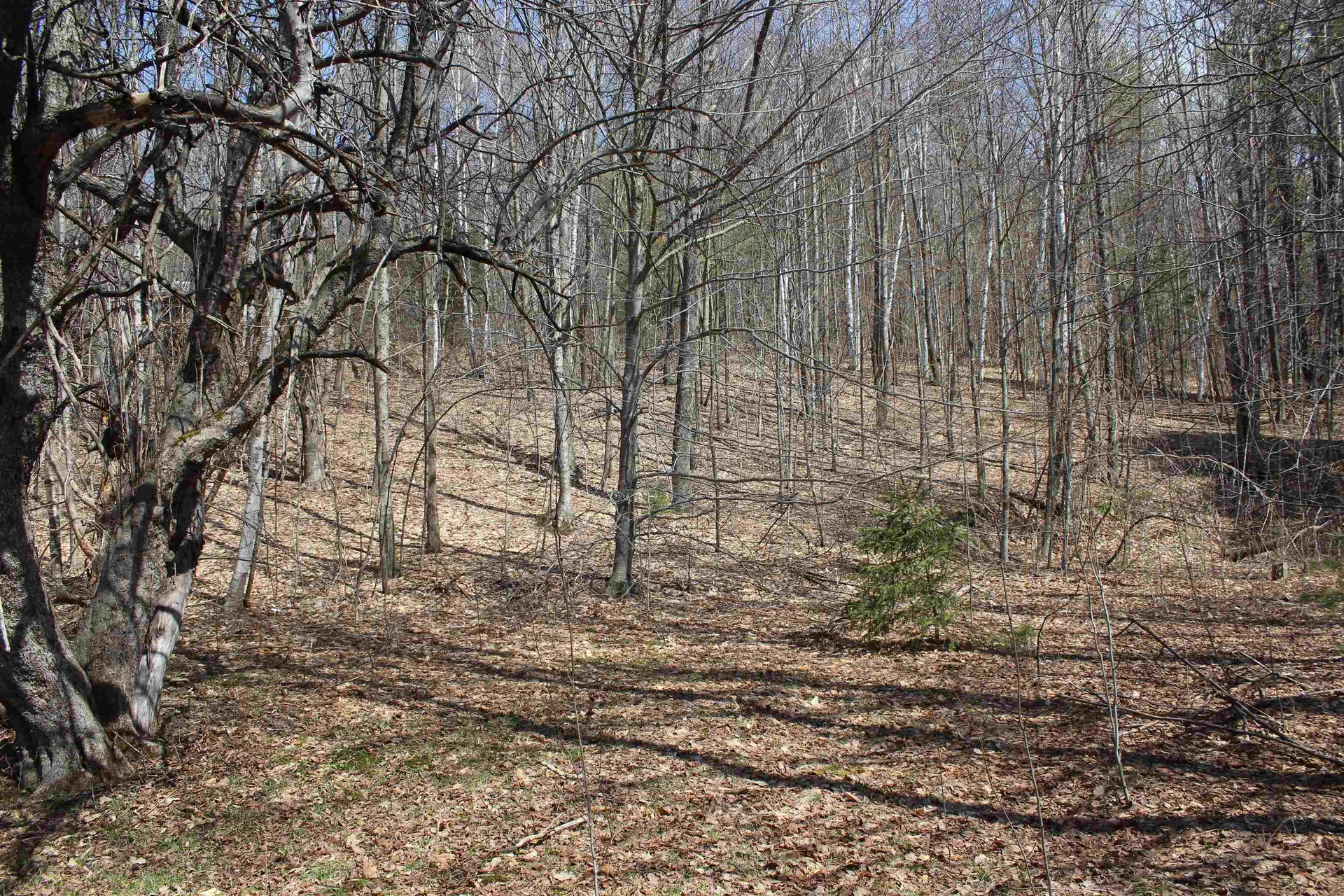1092 Sessions Meadow Pomfret VT 05067