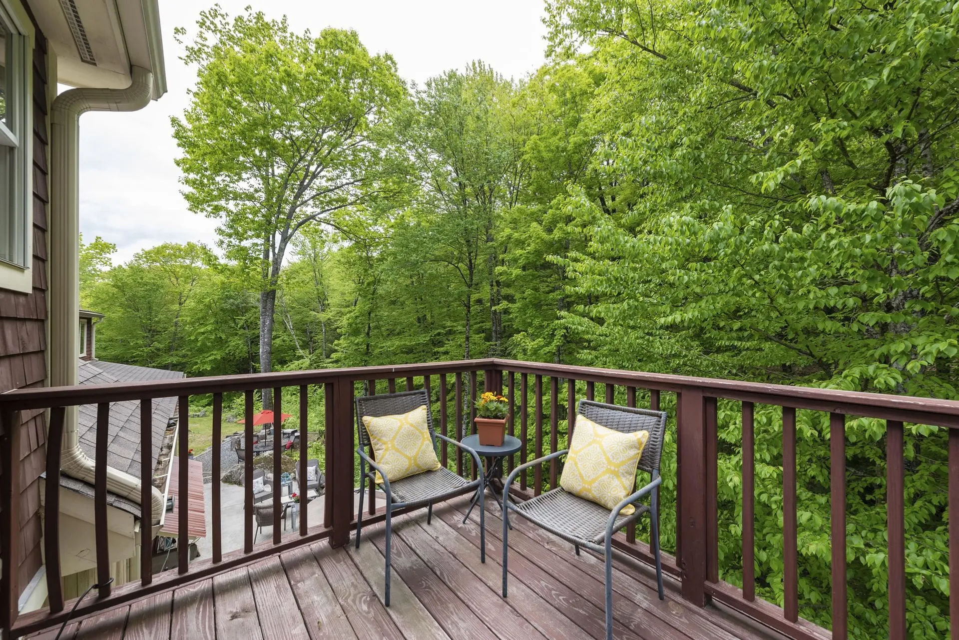 527 Mount Cardigan Road Alexandria NH 03222