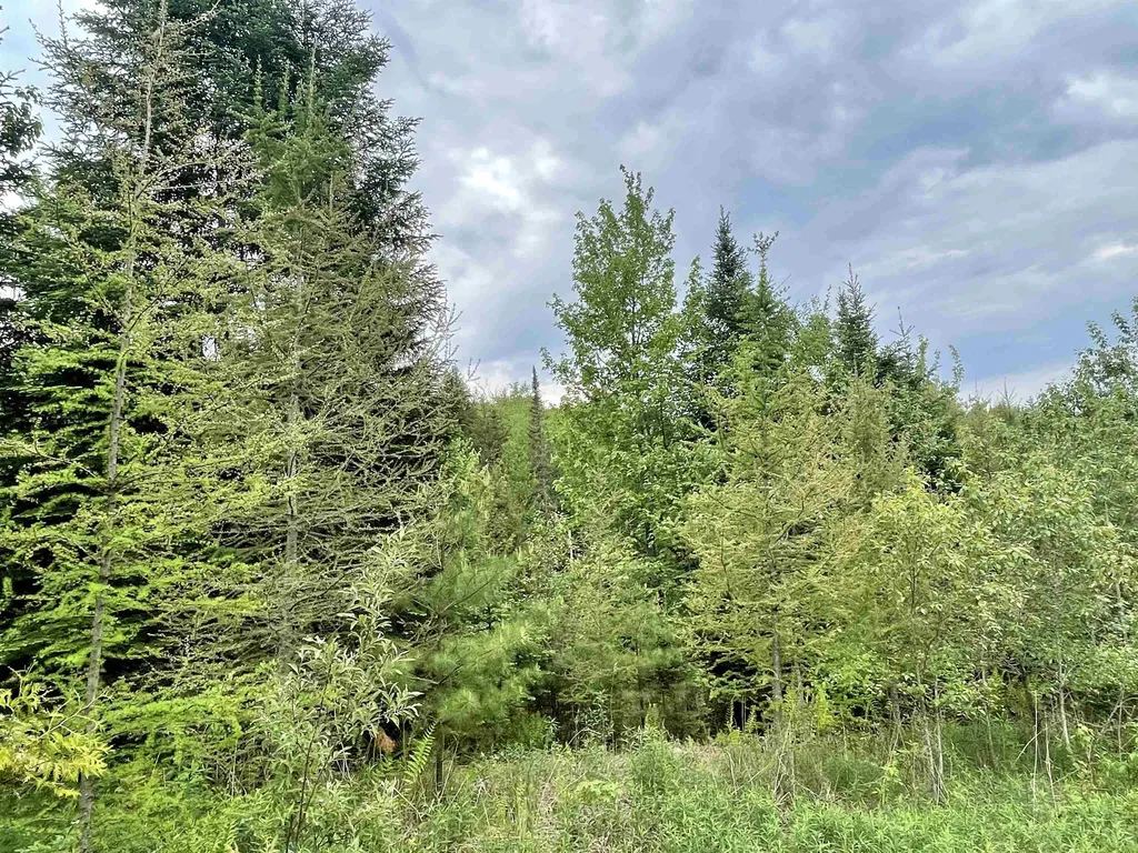 00 Row Off Waterford Hollow Lane Waterford VT 05819
