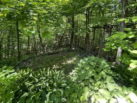 826 Lower Notch Road Bristol VT 05443