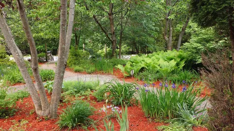3 Blue Heron Court East Kingston NH 03827