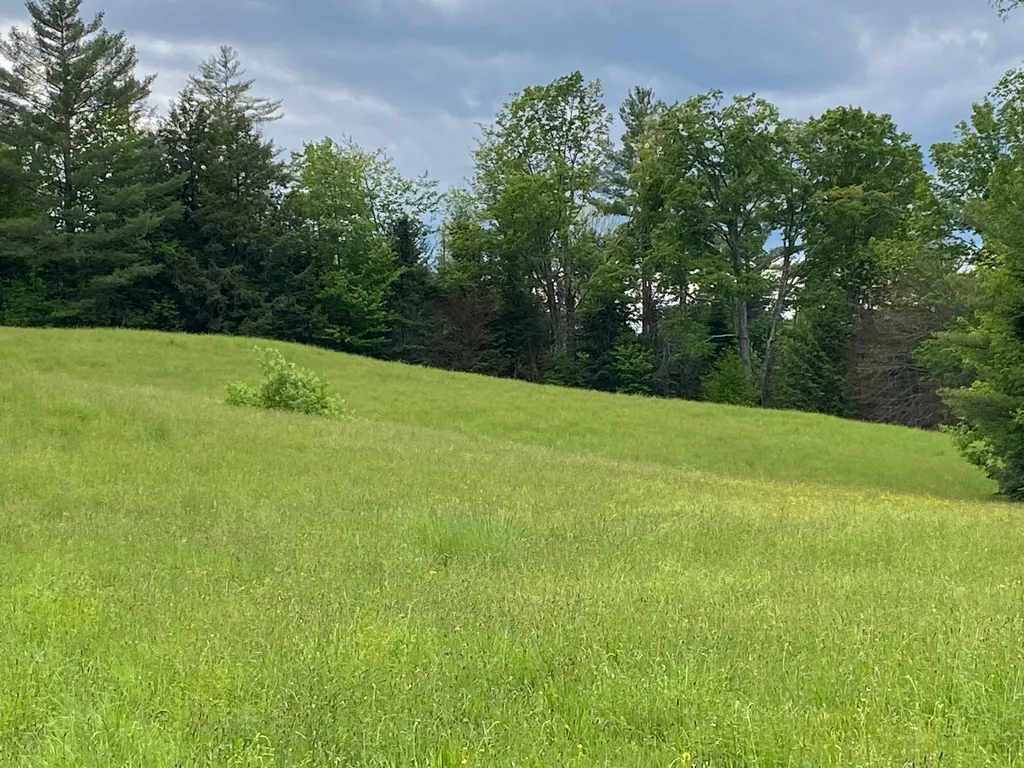 531 Folsom Hill Road Marshfield VT 05658