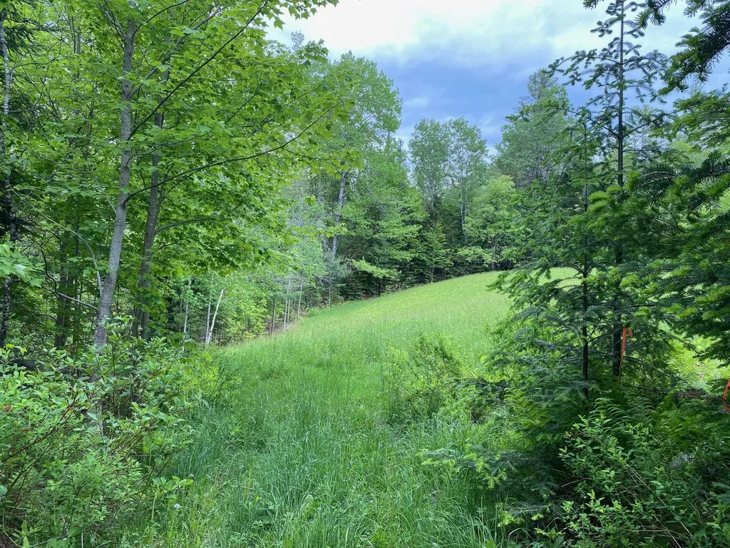 531 Folsom Hill Road Marshfield VT 05658