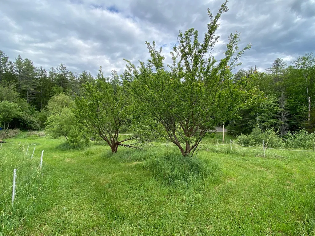 531 Folsom Hill Road Marshfield VT 05658