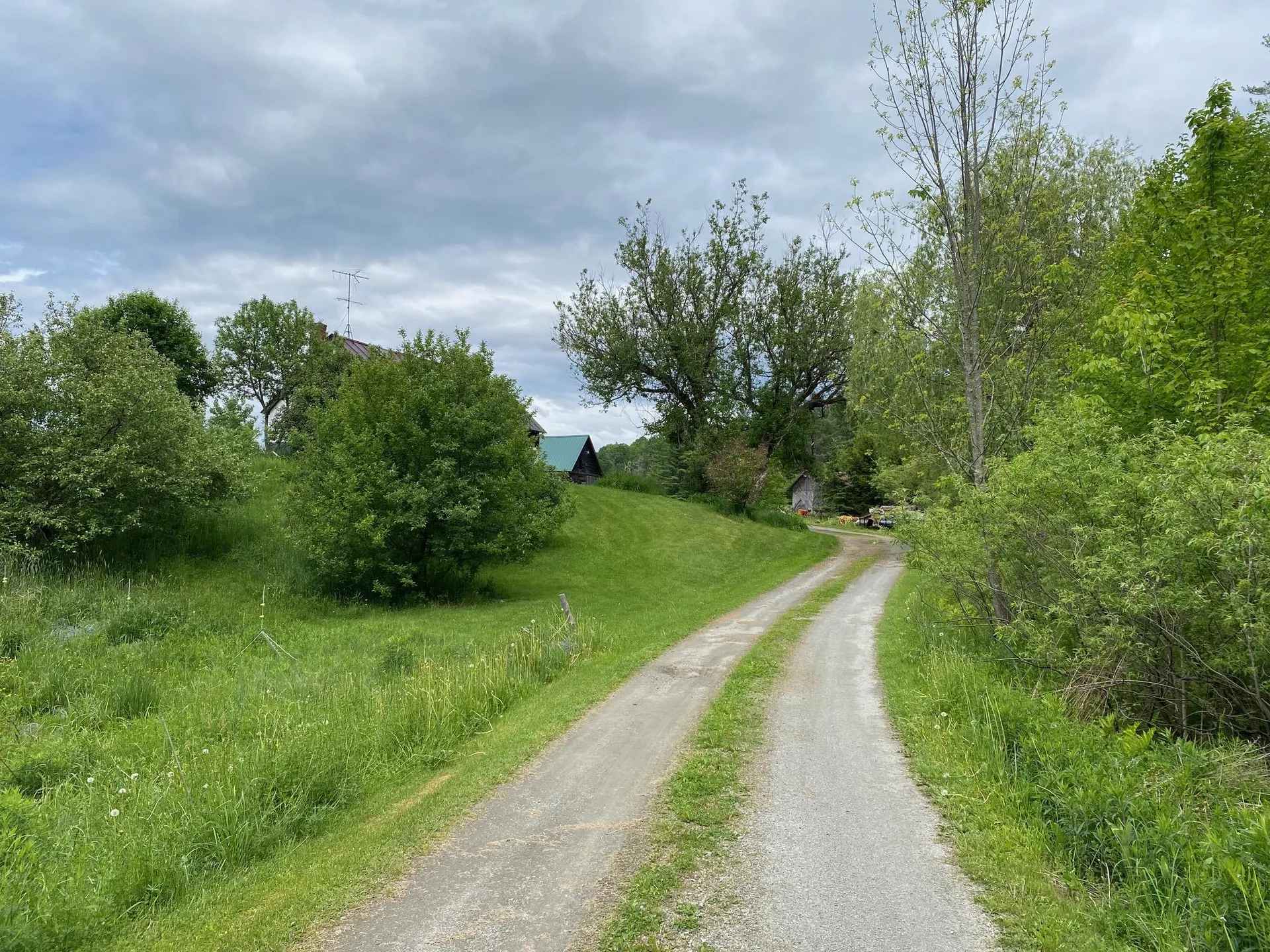 531 Folsom Hill Road Marshfield VT 05658