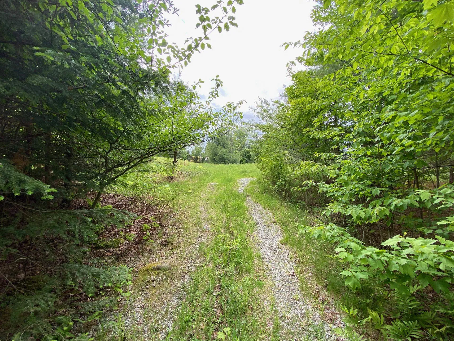 531 Folsom Hill Road Marshfield VT 05658