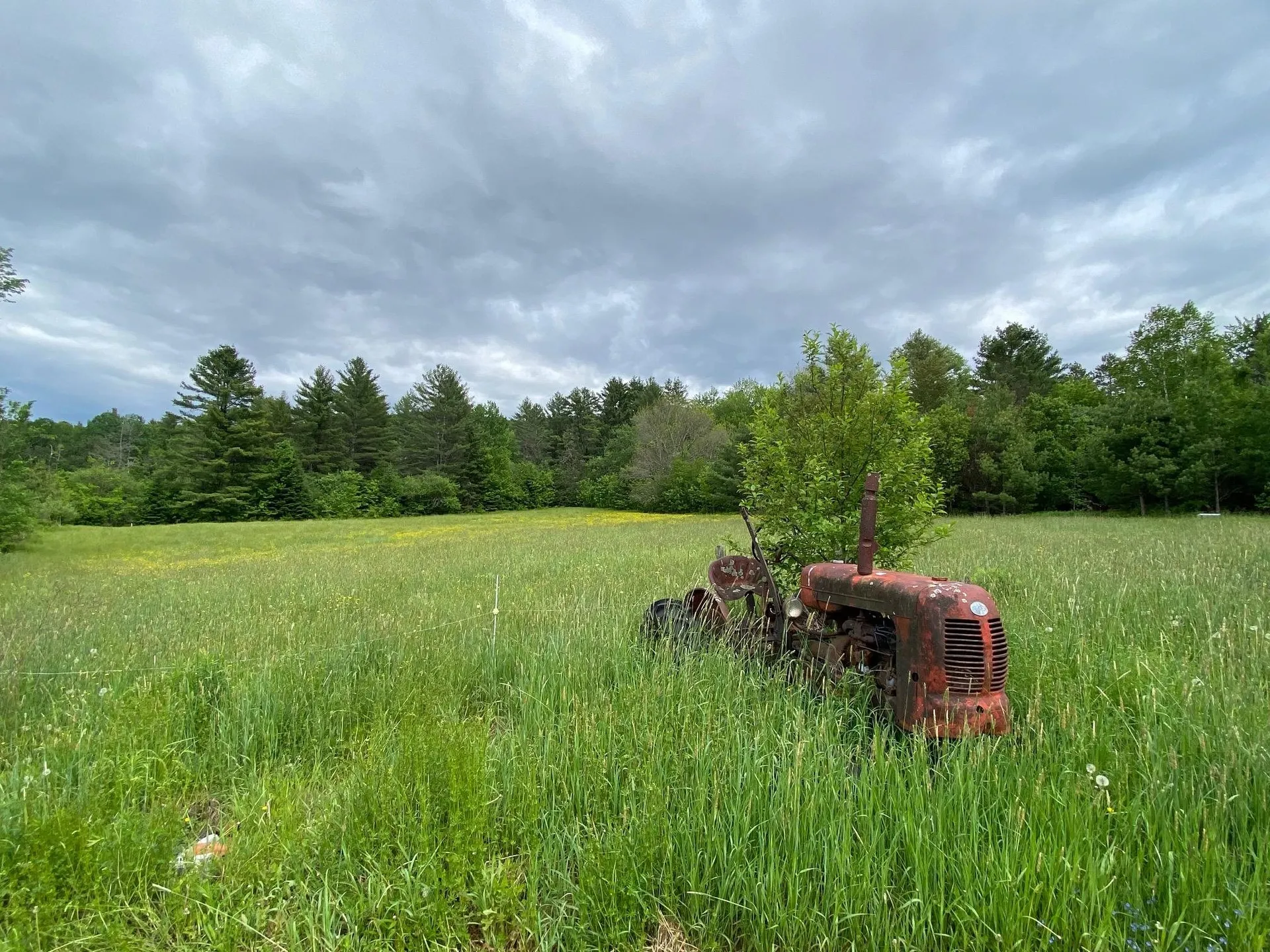 531 Folsom Hill Road Marshfield VT 05658