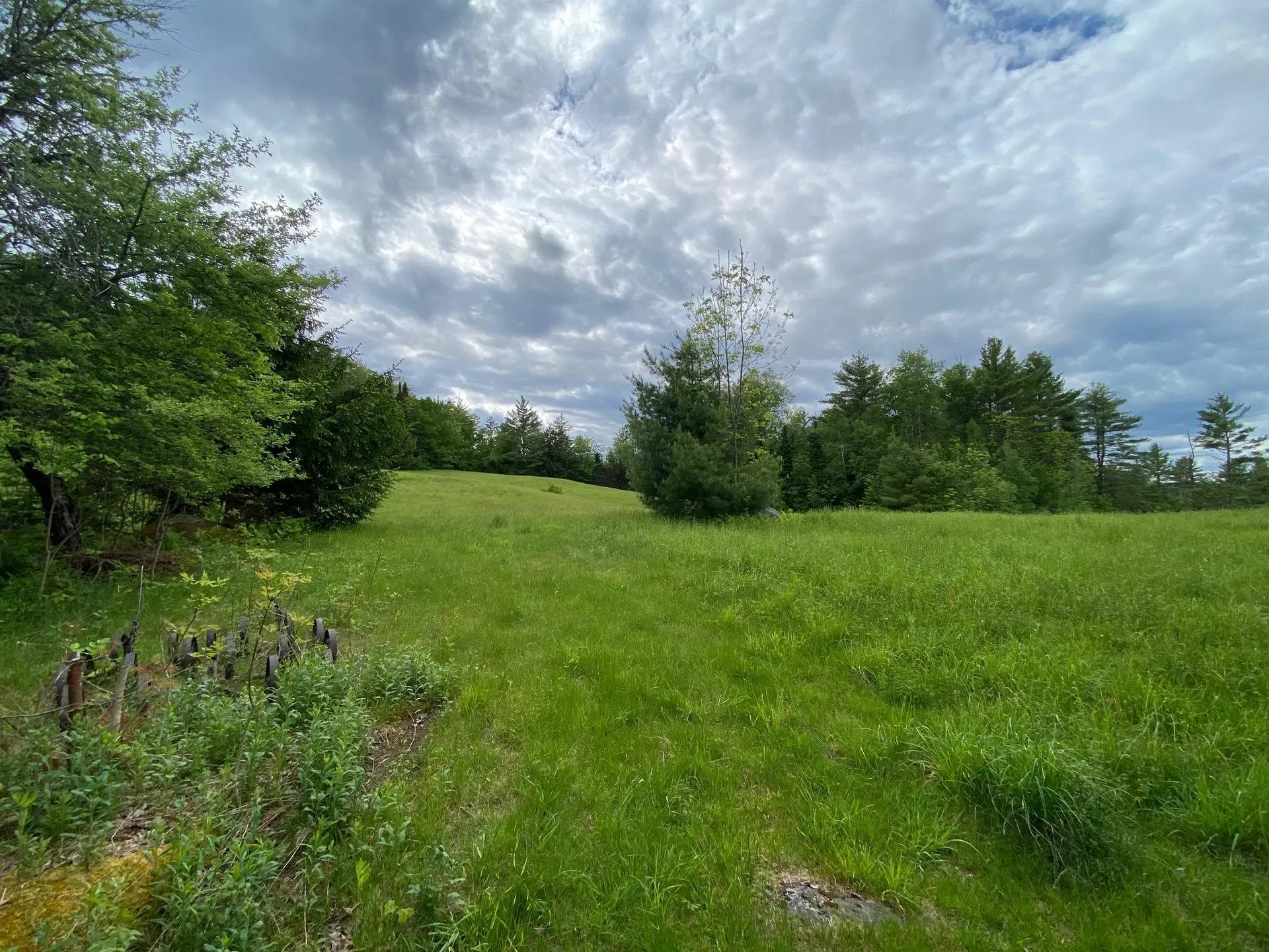 531 Folsom Hill Road Marshfield VT 05658