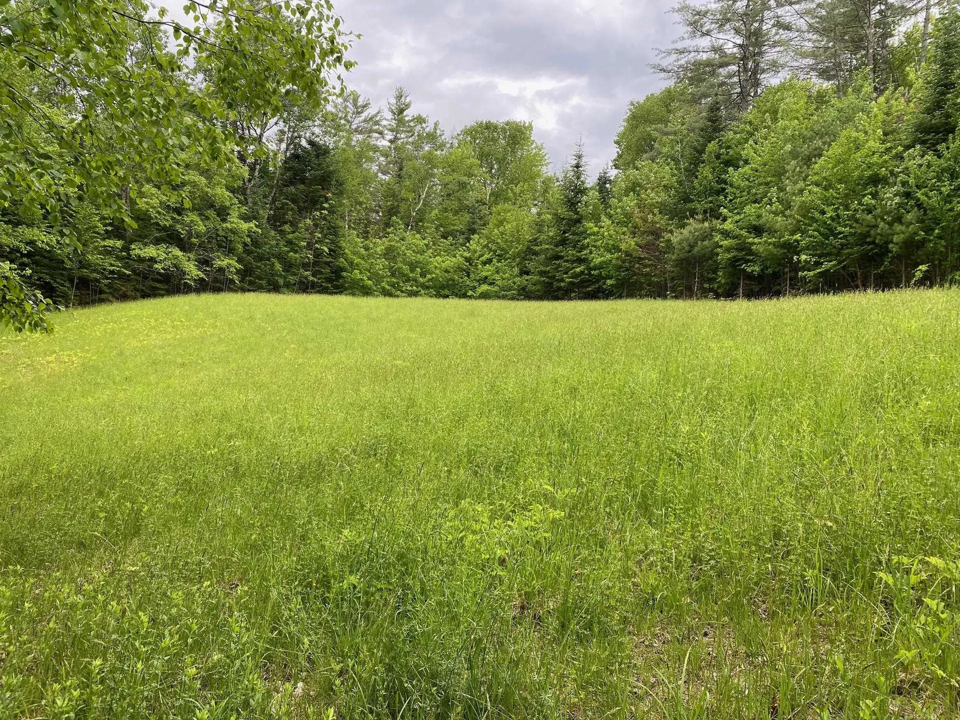 531 Folsom Hill Road Marshfield VT 05658