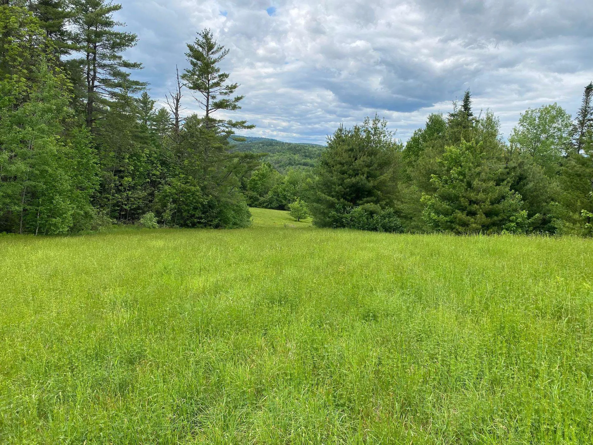 531 Folsom Hill Road Marshfield VT 05658