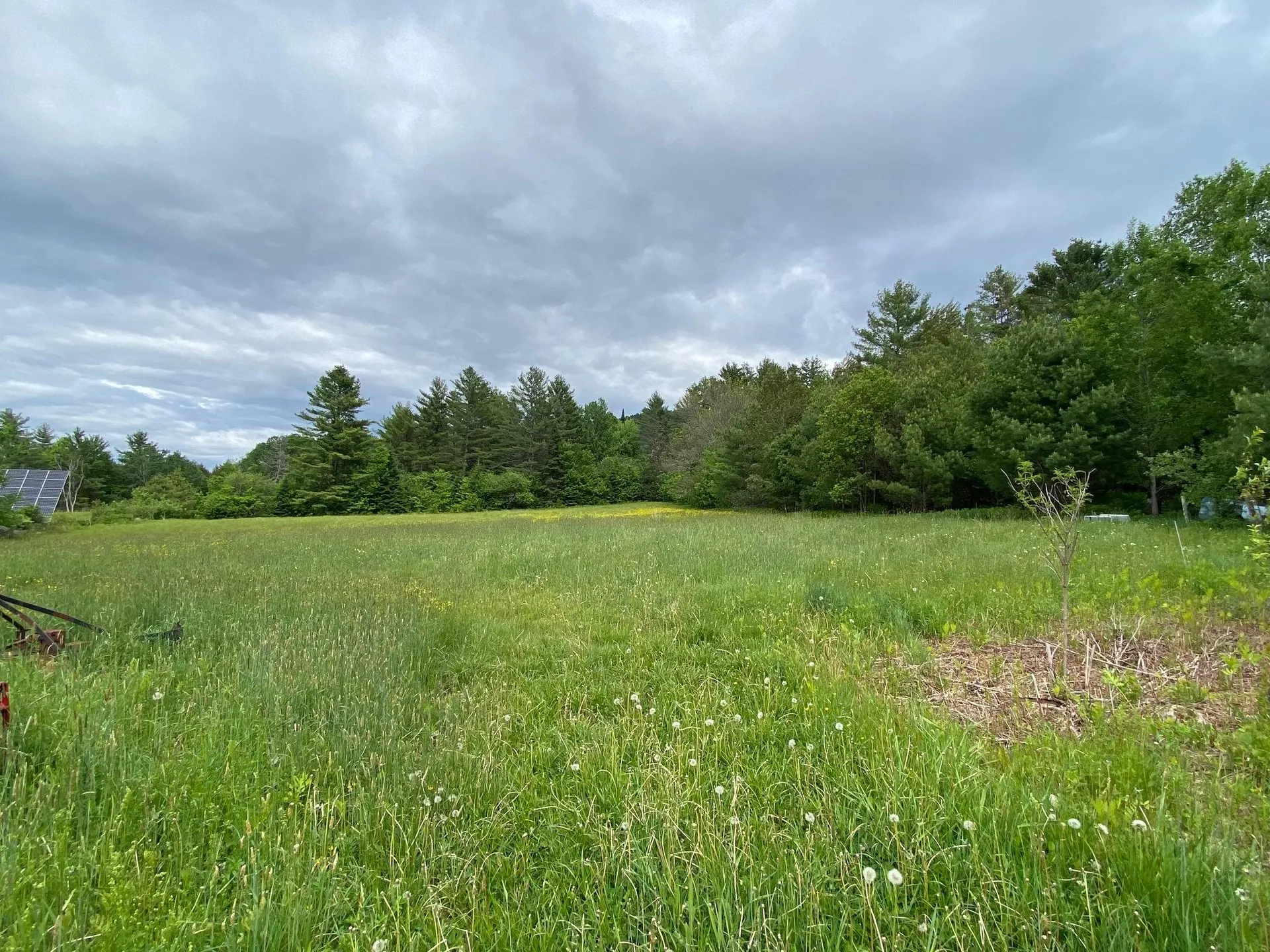 531 Folsom Hill Road Marshfield VT 05658