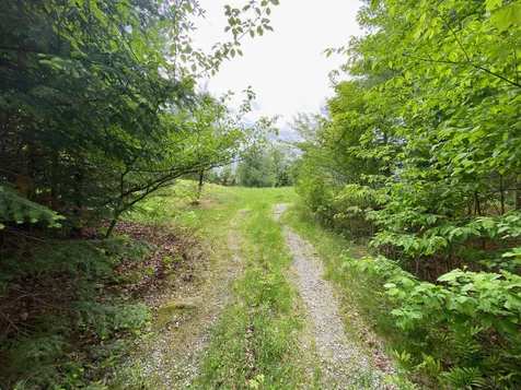 531 Folsom Hill Road Marshfield VT 05658
