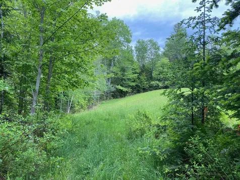 531 Folsom Hill Road Marshfield VT 05658