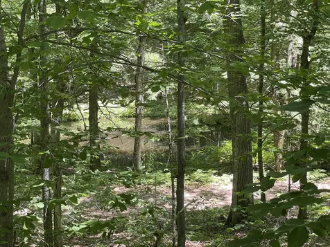 8 Bayberry Lane Wolfeboro NH 03894