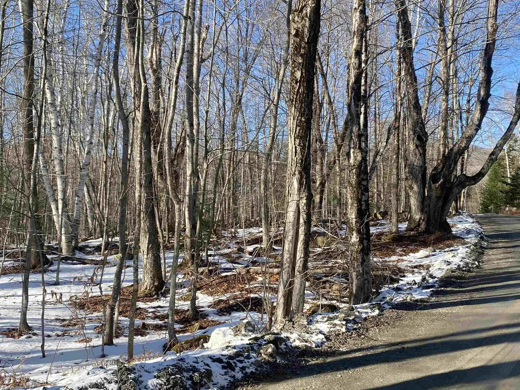 0 Dalewood Road Jamaica VT 05343