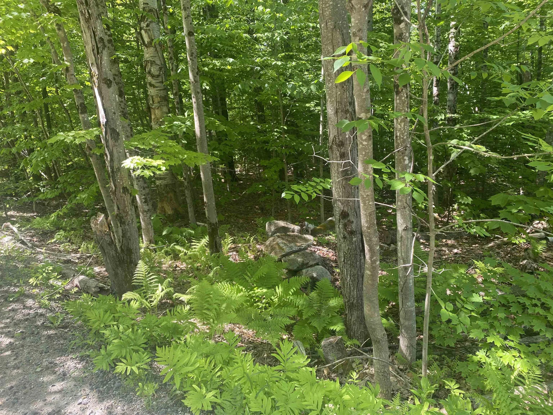 0 Dalewood Road Jamaica VT 05343