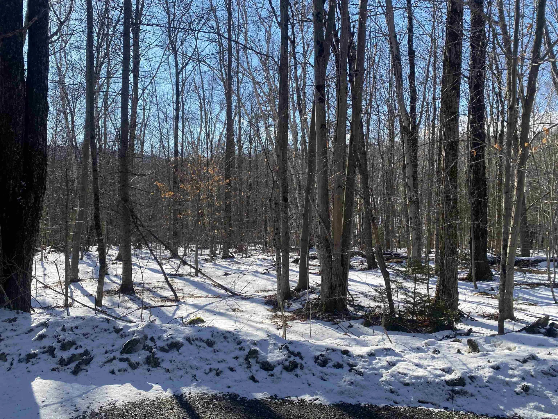 0 Dalewood Road Jamaica VT 05343