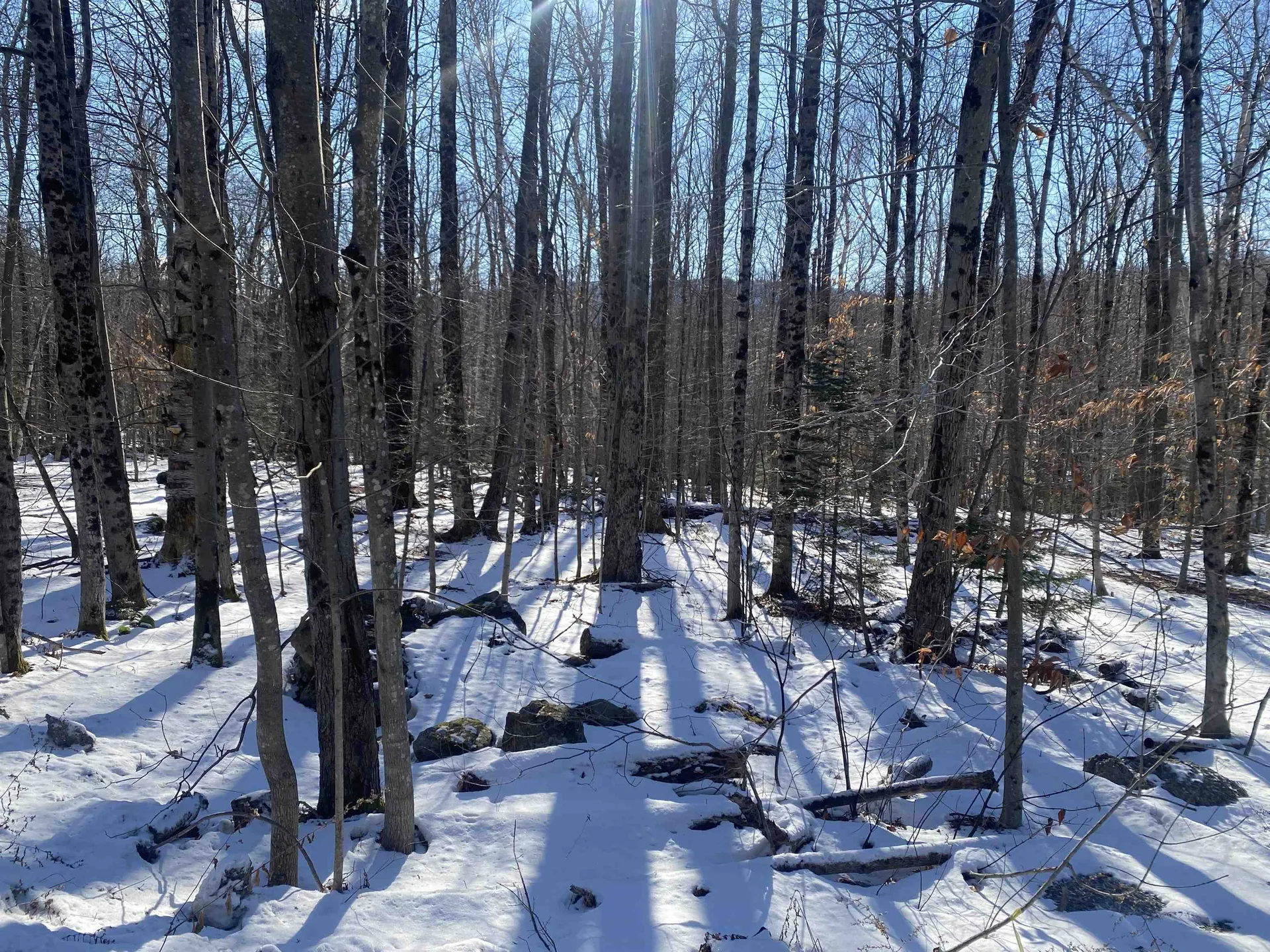 0 Dalewood Road Jamaica VT 05343