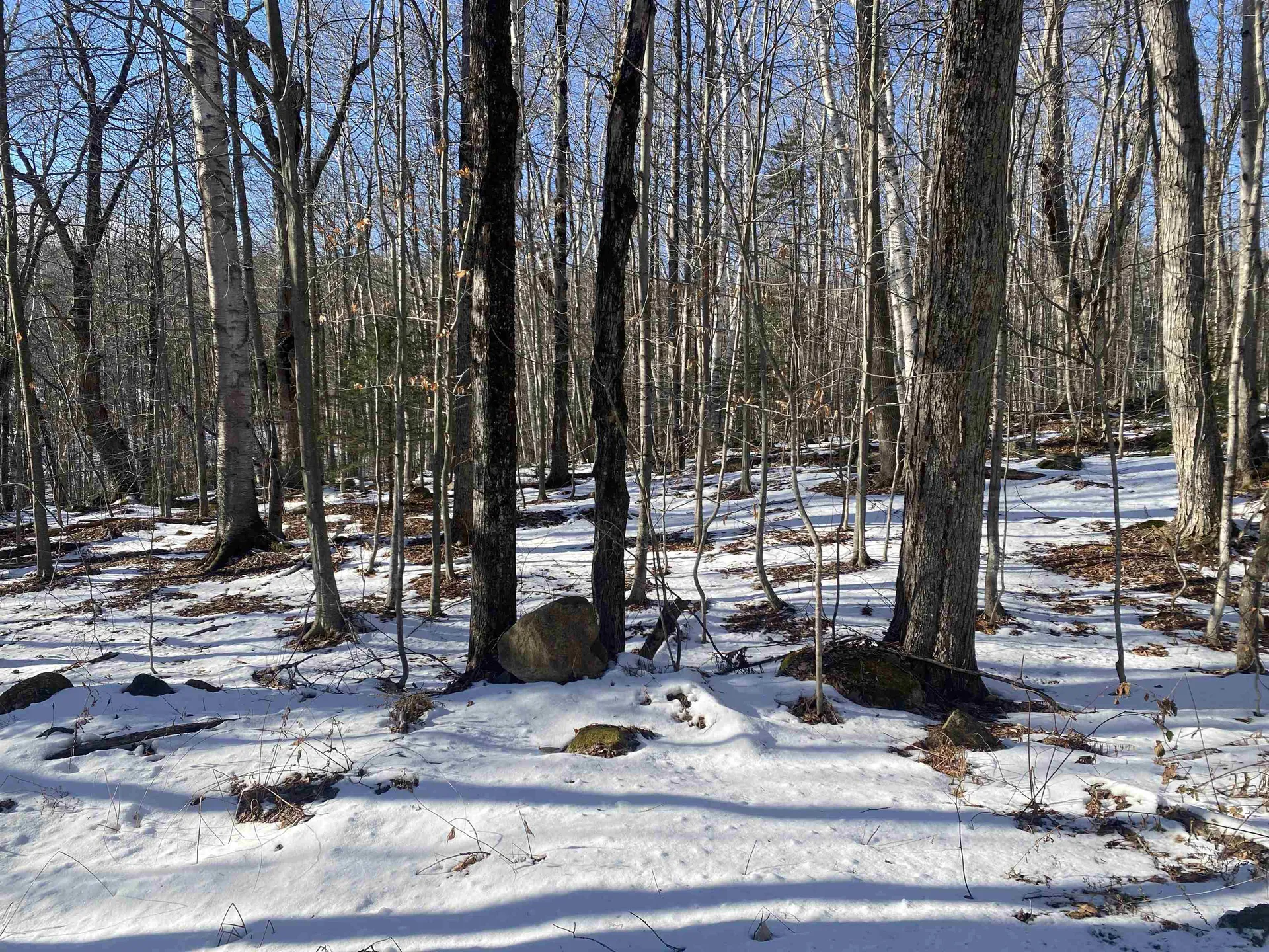 0 Dalewood Road Jamaica VT 05343