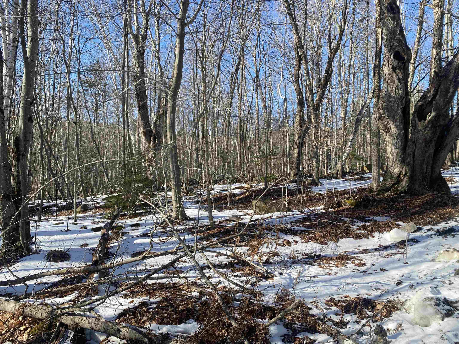 0 Dalewood Road Jamaica VT 05343