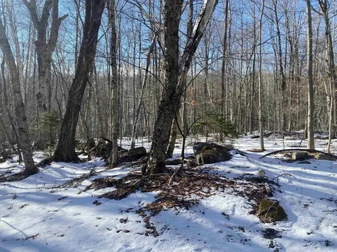 0 Dalewood Road Jamaica VT 05343
