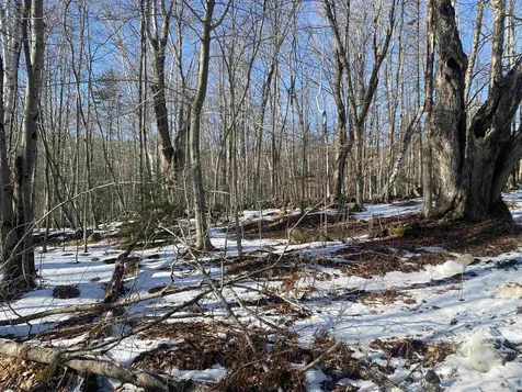 0 Dalewood Road Jamaica VT 05343
