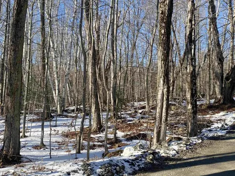 0 Dalewood Road Jamaica VT 05343