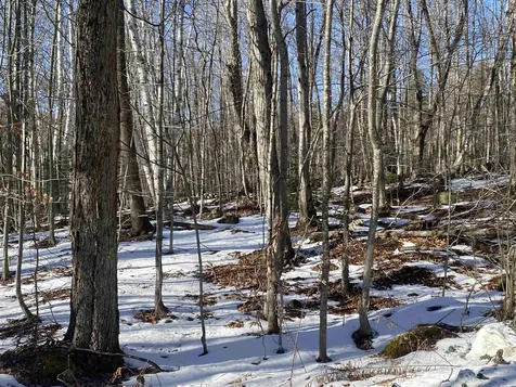 0 Dalewood Road Jamaica VT 05343