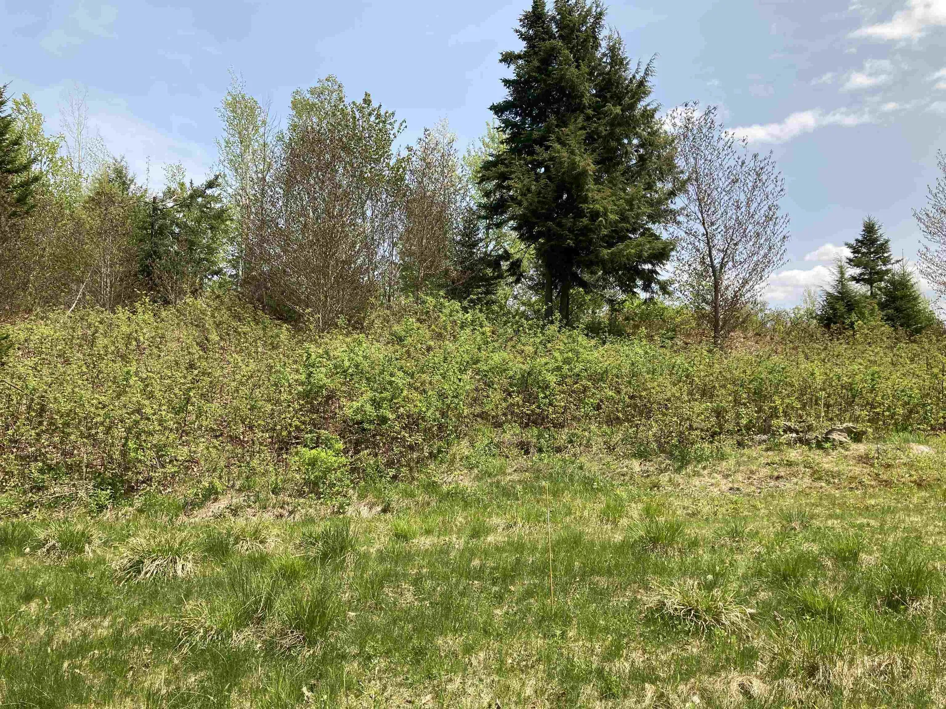 2258 Battle Row Road Hyde Park VT 05655