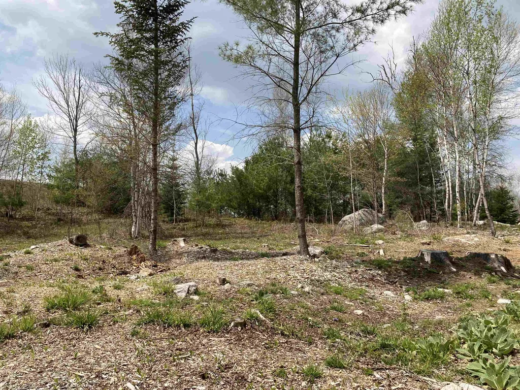 45 Eringlen Way Canaan NH 03741