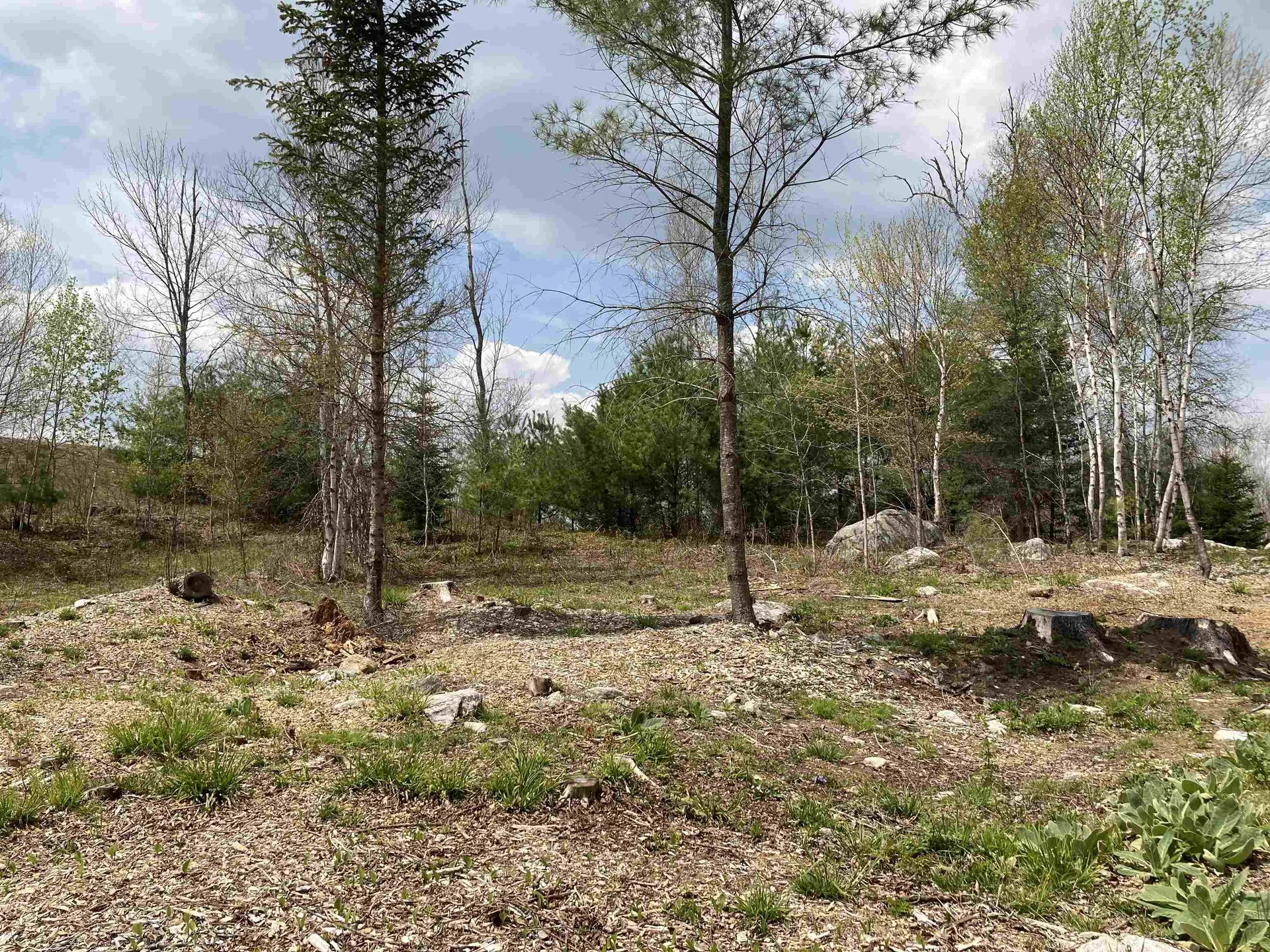 45 Eringlen Way Canaan NH 03741