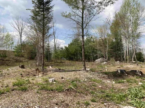 45 Eringlen Way Canaan NH 03741