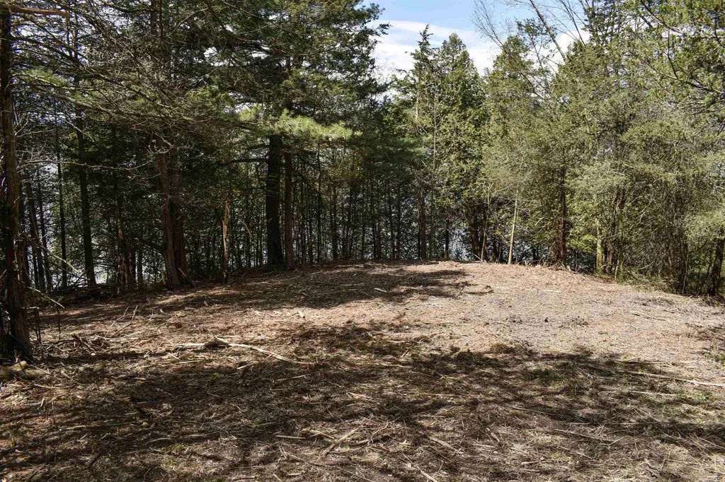 3139 Lake Street Bridport VT 05734