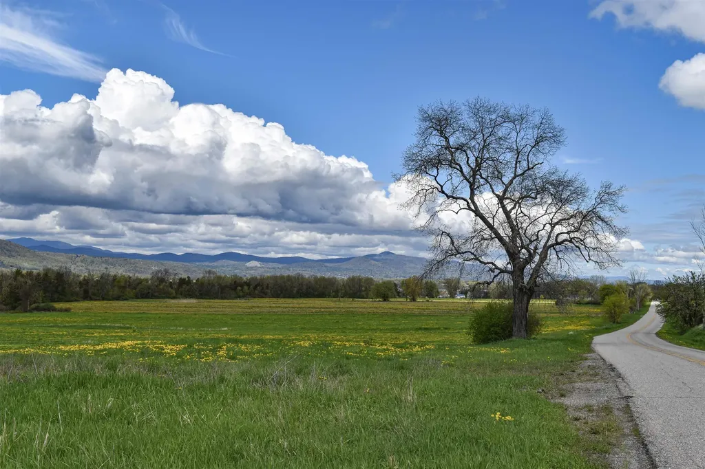 3139 Lake Street Bridport VT 05734