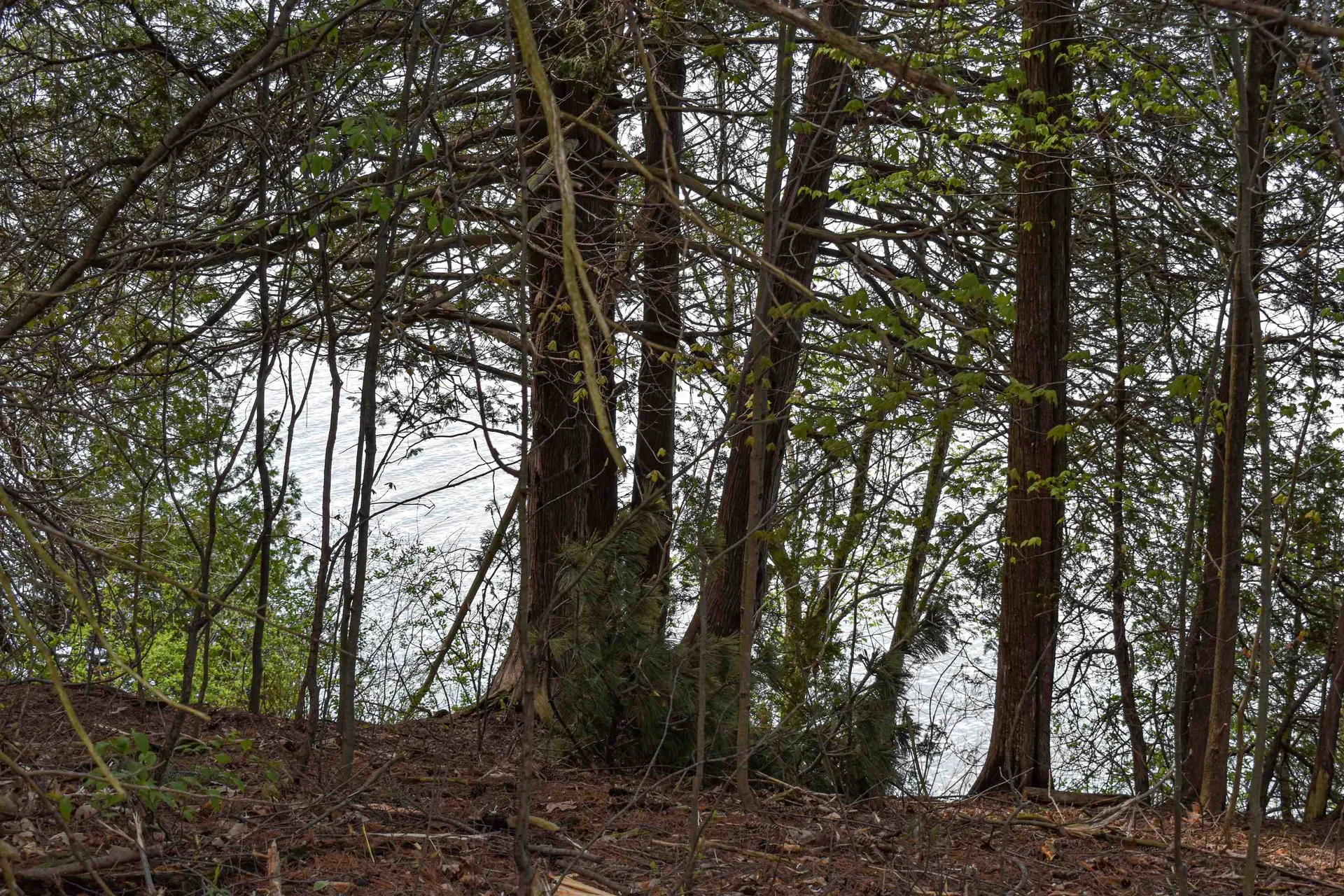 3139 Lake Street Bridport VT 05734