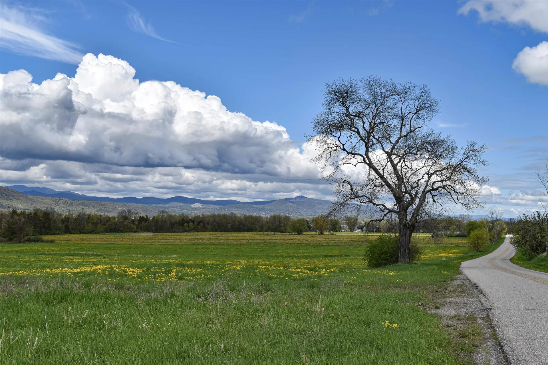 3139 Lake Street Bridport VT 05734