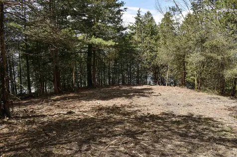 3139 Lake Street Bridport VT 05734