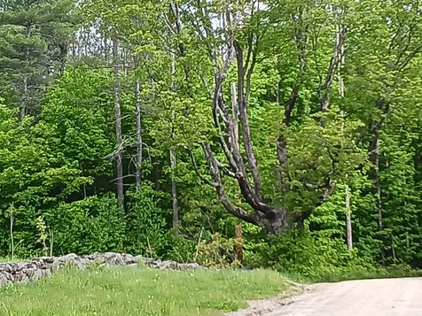 133 Saddle Hill Road Meredith NH 03253