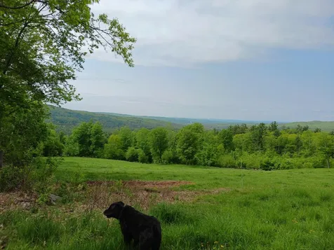 133 Saddle Hill Road Meredith NH 03253