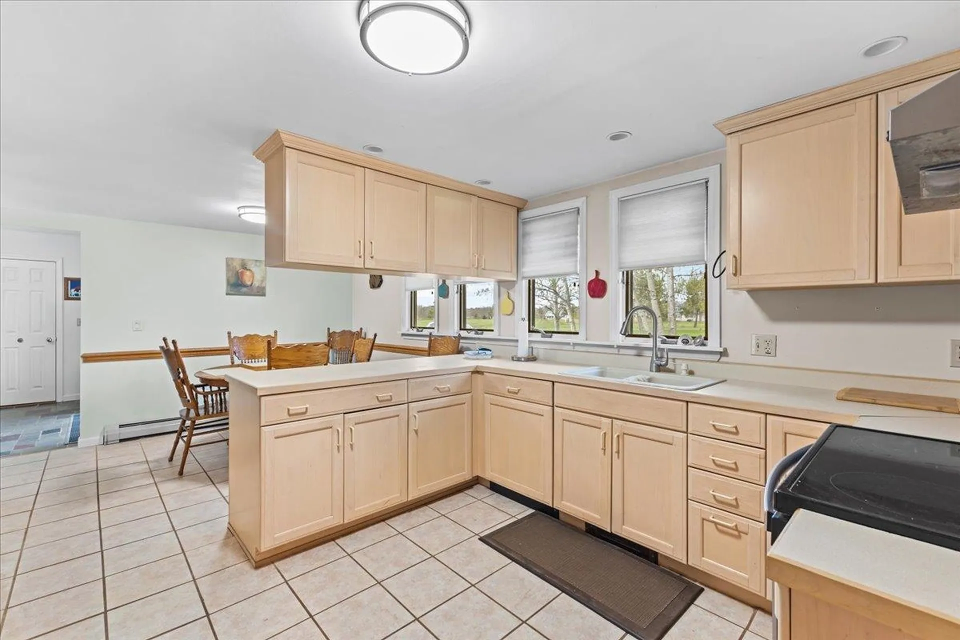 239 Goose Bay Drive Bridport VT 05734