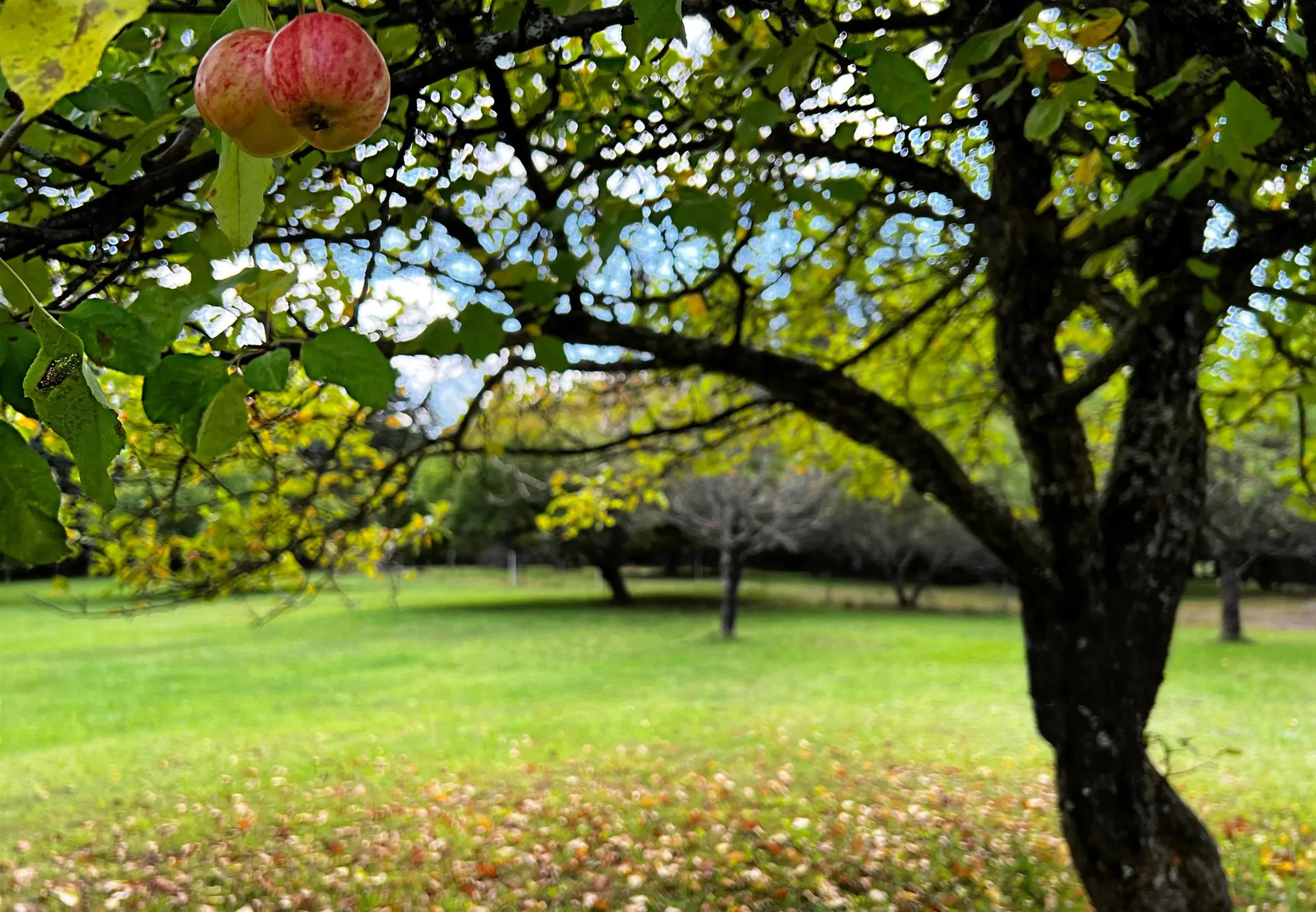 00 Newark Street Newark VT 05871
