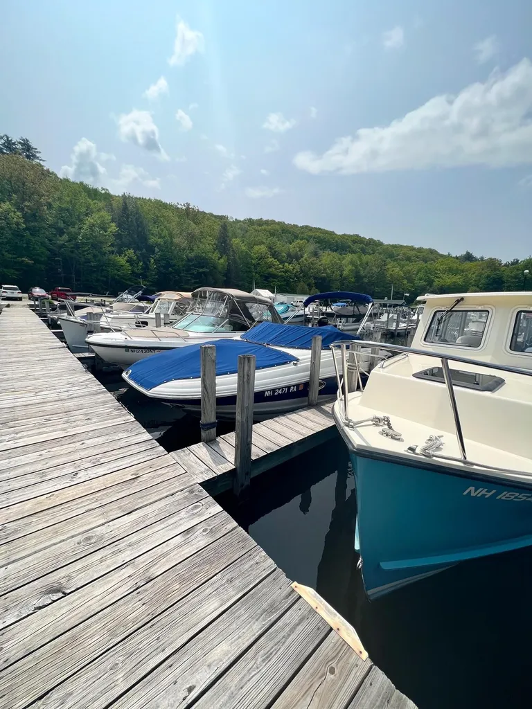 16 Minge Cove Road Alton NH 03809