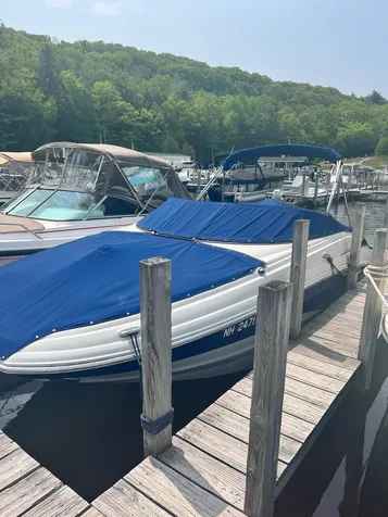 16 Minge Cove Road Alton NH 03809