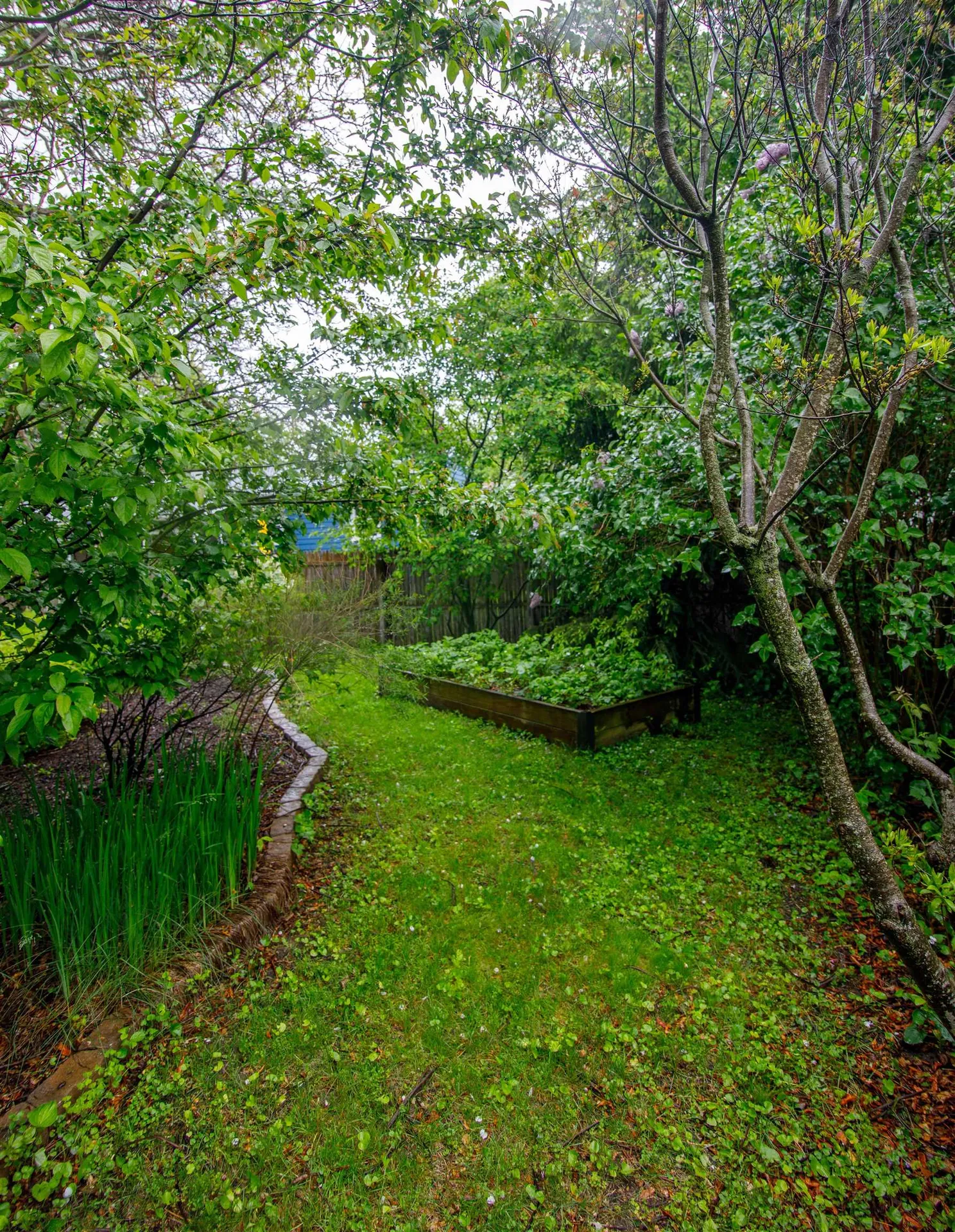 213 Pleasant Avenue Burlington VT 05408