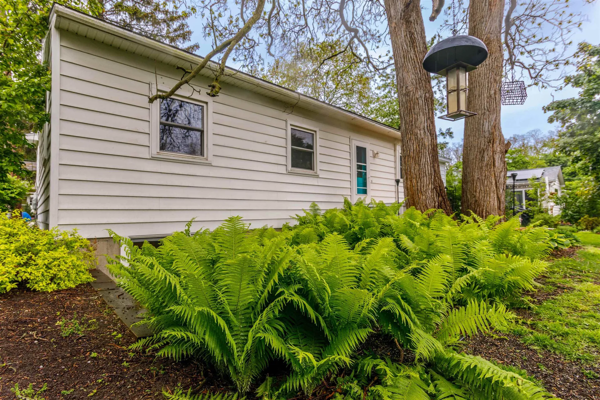 213 Pleasant Avenue Burlington VT 05408