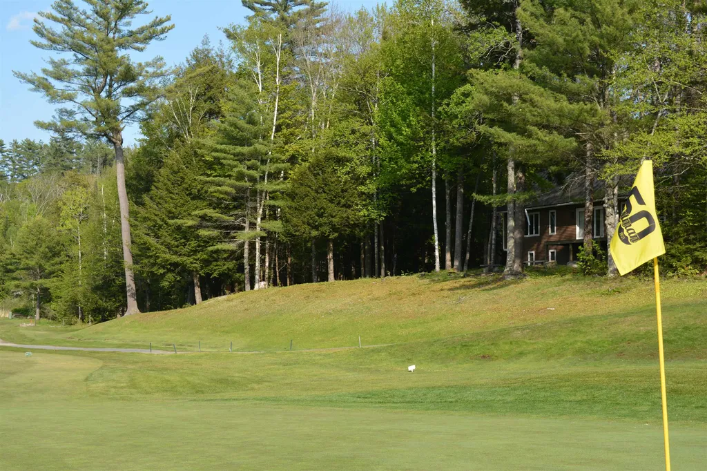 27 Fairway Drive Grantham NH 03753