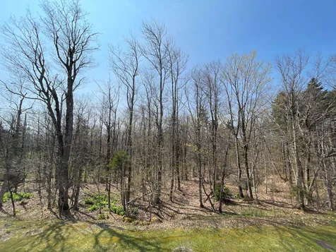 132 Sugar Brook Road Peru VT 05152