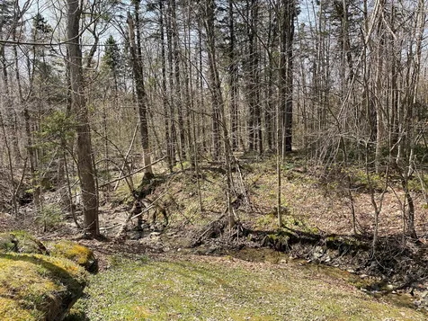 132 Sugar Brook Road Peru VT 05152
