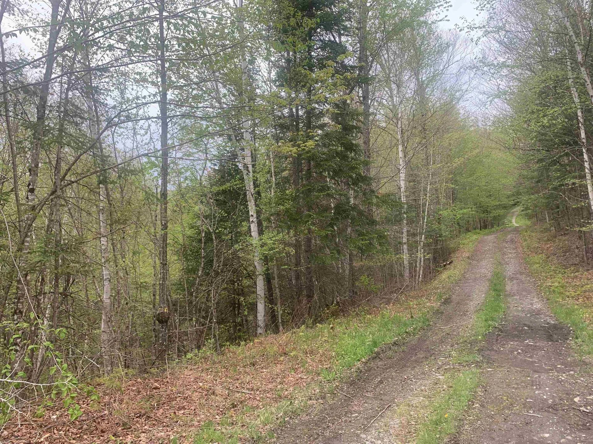 0 Bacon Road Pittsburg NH 03592